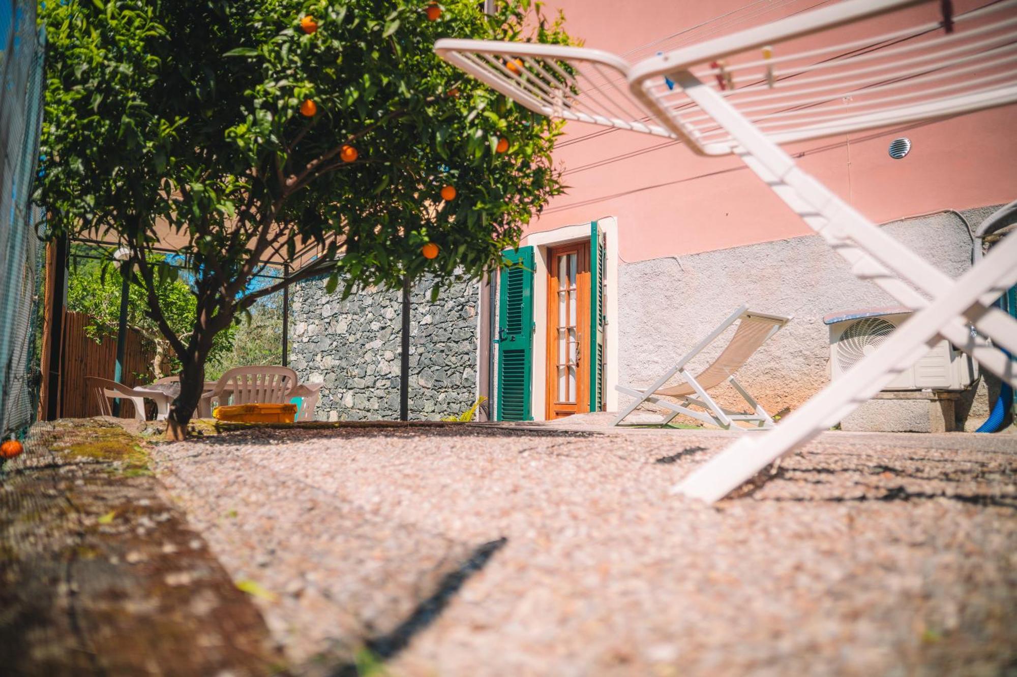 L'Ulivo Villa Levanto Exteriör bild