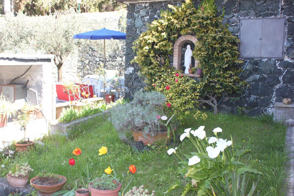L'Ulivo Villa Levanto Rum bild