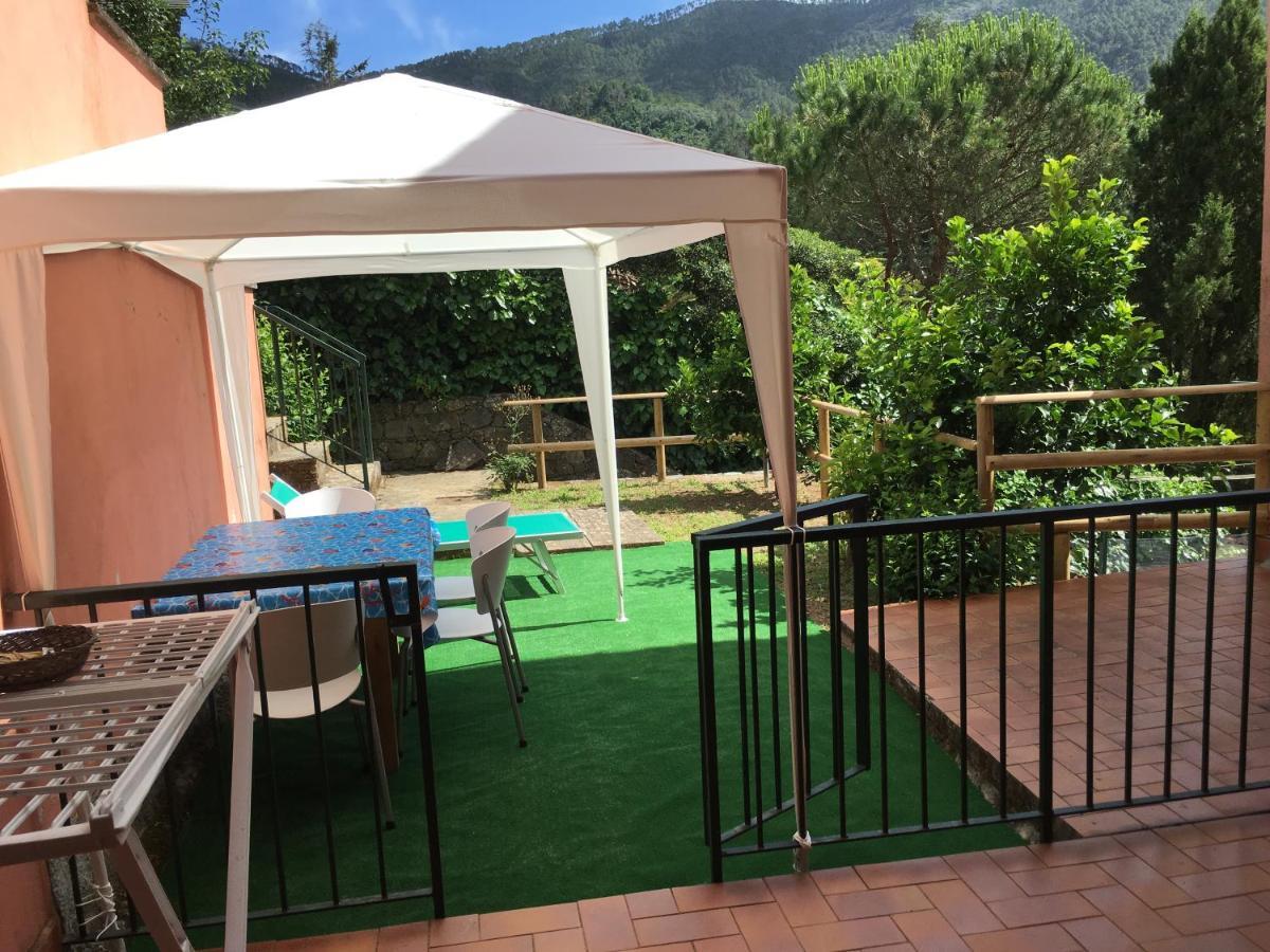 L'Ulivo Villa Levanto Exteriör bild